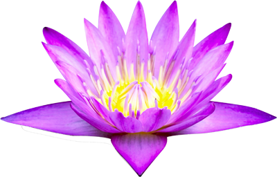 lotus